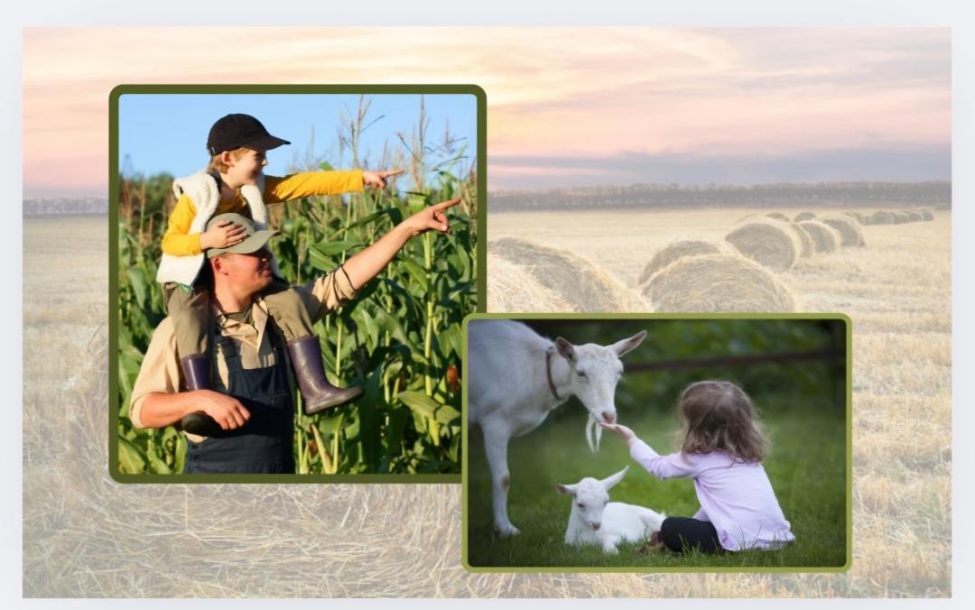 Wisconsin Ag Tourism: Economic Engine and Growing Attraction