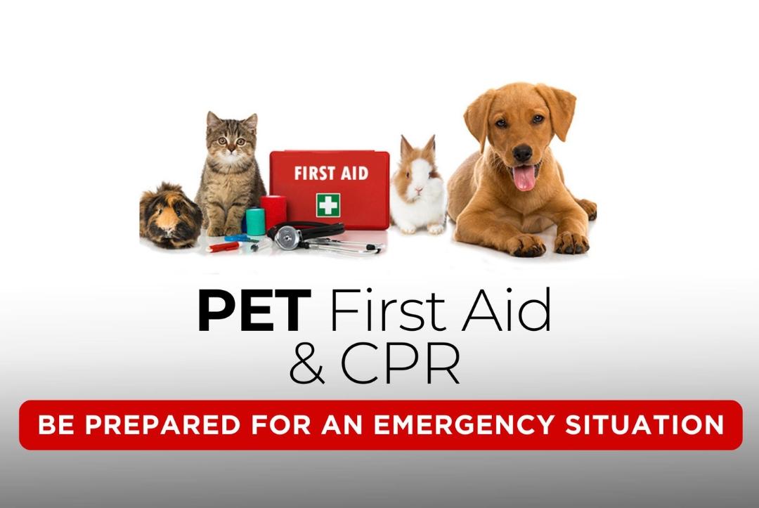 Pet First Aid & CPR