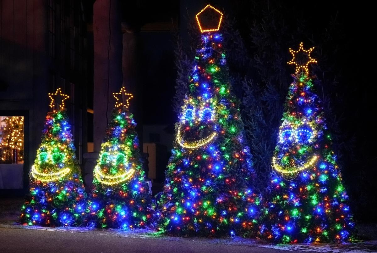 Celebration of Lights Community Night