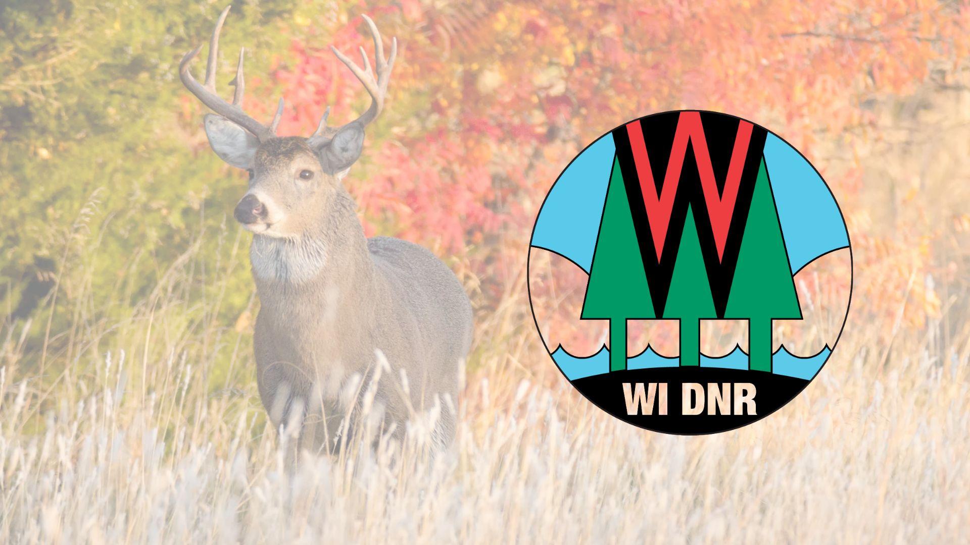 As Wisconsin’s gun deer season approaches, DNR says deer population has grown significantly