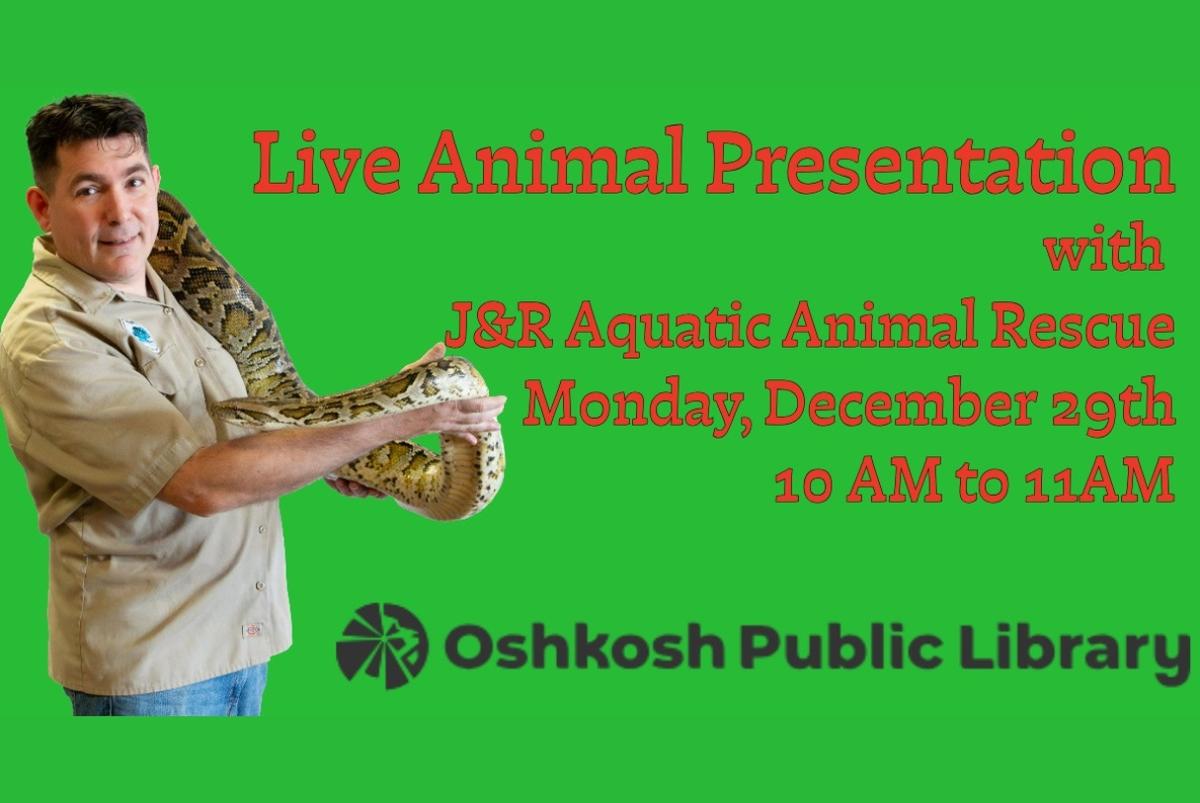 🐾 LIVE Animal Experience at the Library! 🦎🐍🦜