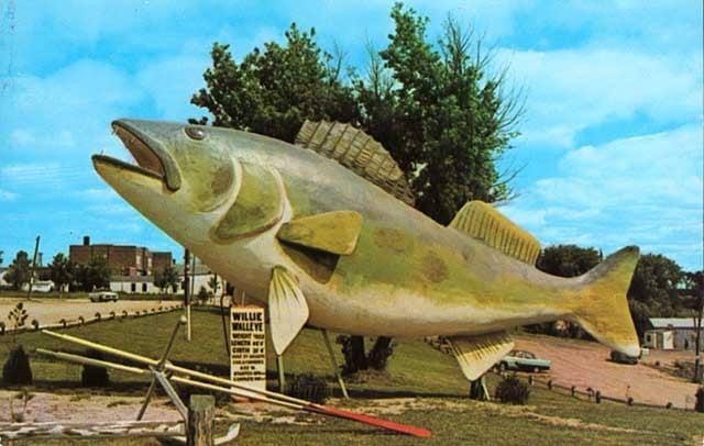 Walleye: The history of Minnesota’s favorite fish