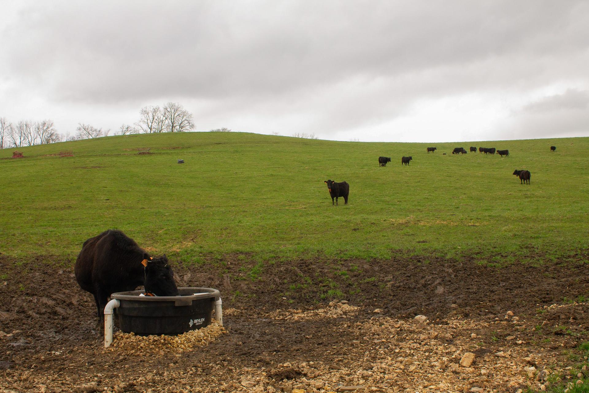 How one program is working to bring Corn Belt farmers together for conservation agriculture